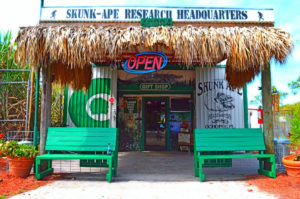 Skunk Ape Research Headquarters: A Roadside Attraction Dedicated To