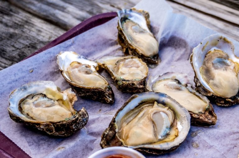 The Great Oyster Revival of Florida Florida Insider