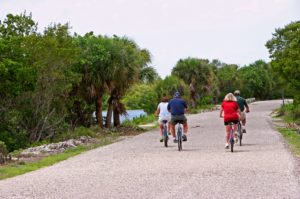 10 Gorgeous Bike Trails To Visit In Florida Florida Insider   Bike Trails FL 300x199 