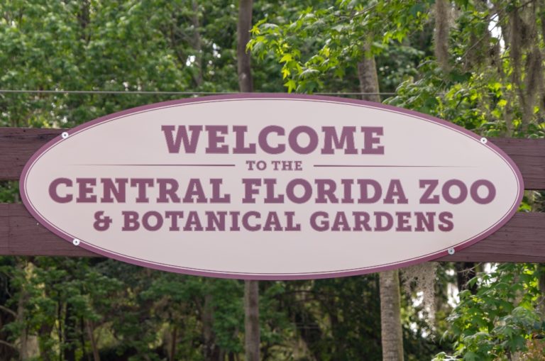 Central Florida Zoo reopens after four-week closure due to Hurricane Ian